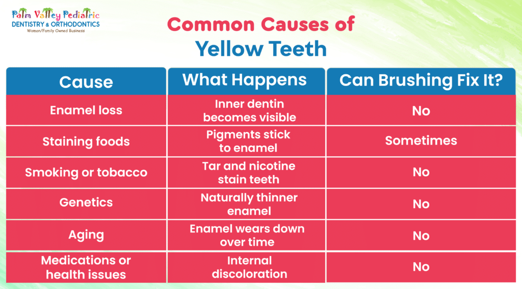Infographic showing the common causes of yellow teeth