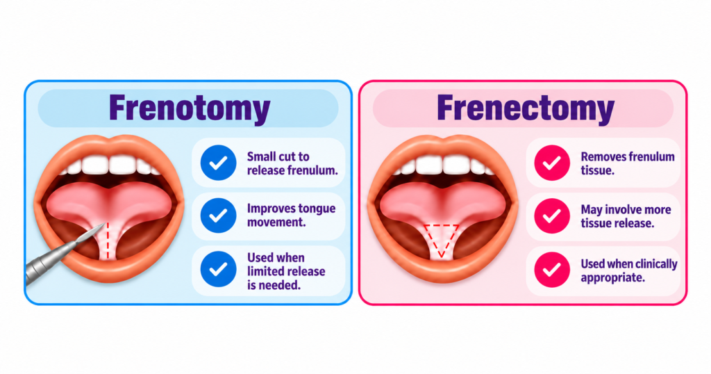 Frenotomy vs frenectomy showing the differences between two oral procedures for treating a restrictive tongue or lip frenulum.