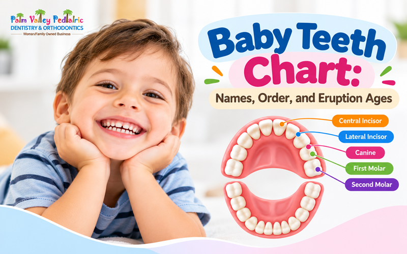 Baby Teeth Chart: Names, Order, and Eruption Ages